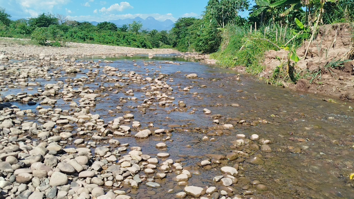 Contaminación del agua Colombia: ríos del Cesar en riesgo por deforestación y minería