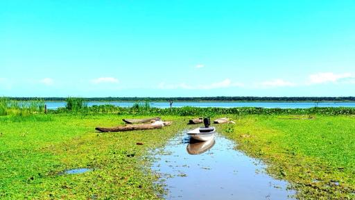Contaminación en la ciénaga Mata de Palma afecta a pescadores del Cesar