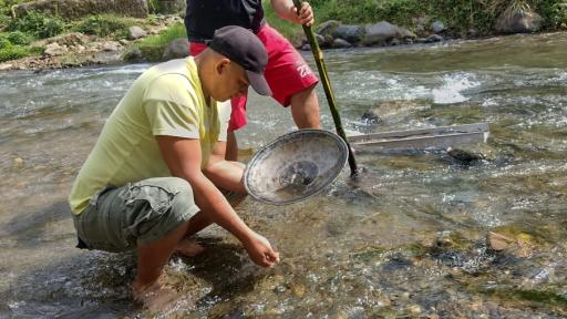 Pereira: minería artesanal será certificada por Alcaldía 