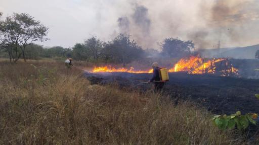 Incendios forestales Huila: calamidad pública