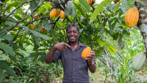 Créditos agropecuarios en 2025: Colombia habilitó 25.370 millones