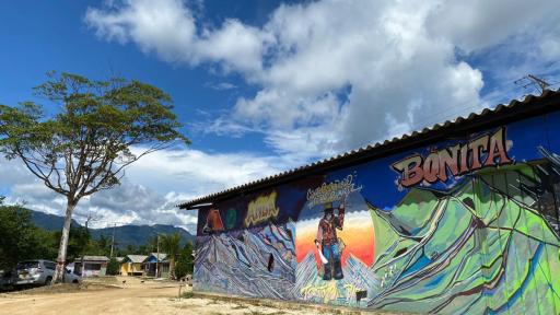 Festival Agua Bonita se Pinta de Colores programación