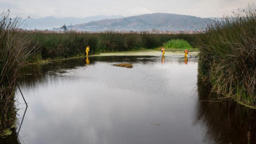 Día Mundial de los Humedales: Humedales de Bogotá 