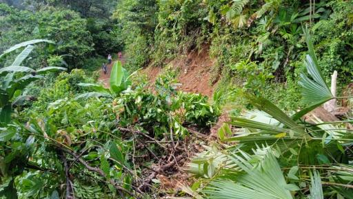 Creciente del río Paparidó HOY: afectaciones indígenas de Pueblo Rico, Risaralda