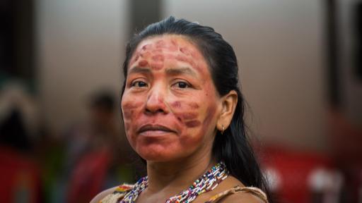 Qué significa la serpiente para los pueblos indígenas