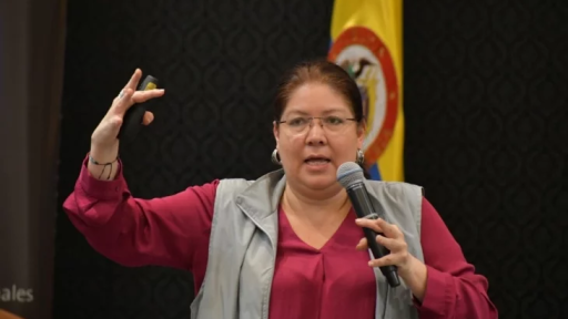 Asamblea Nacional Constituyente: MOE