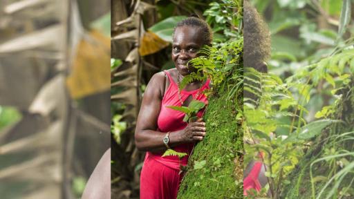 Legado de Graciliana Caicedo, partera tradicional del Pacífico 