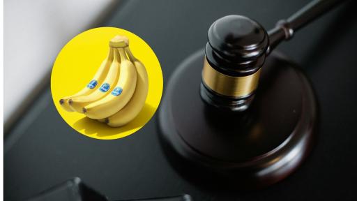 Condenan a exdirectivos de Chiquita Brands por nexos con paramilitares 