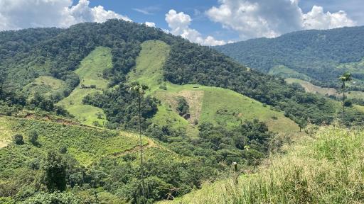 Caquetá: firmantes de paz dejan Miravalle y van hacia El Doncello 