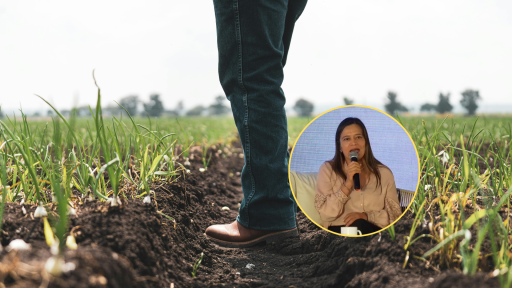 Gobierno invierte $9.000 millones en proyectos productivos en territorios del Acuerdo de Paz