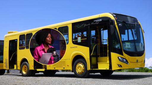 Periodista Yajaira Perea denuncia agresión racista en bus del SITP en Bogotá