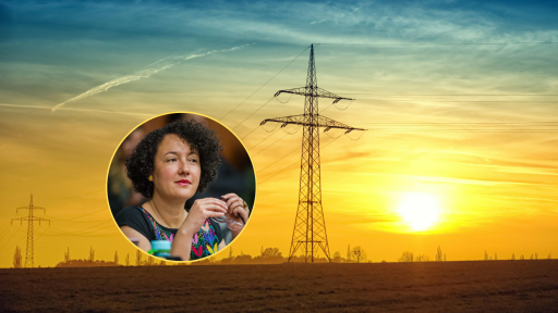 Senadora Isabel Zuleta pidió eliminar cargo por confiabilidad incluido en las tarifas de energía