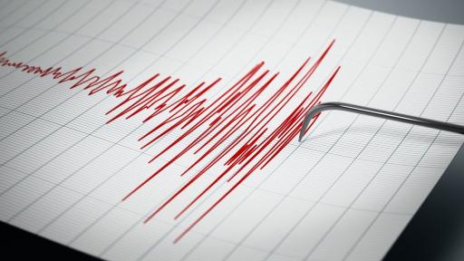 Japón decreta alerta de tsunami tras un sismo de magnitud 6,8