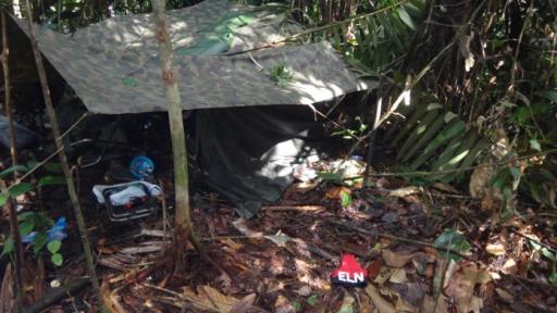 Informe revela cuántos miembros tienen en sus filas grupos armados ilegales