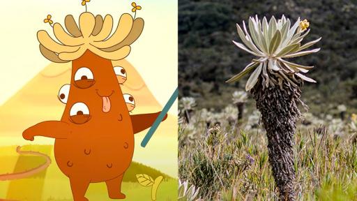 Frailejón Ernesto Pérez: búsquedas de los colombianos en Google 