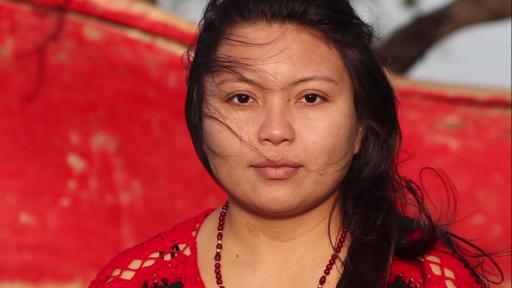 Festival Internacional de Cine de Cartagena 2022