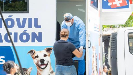 Santa Marta lanza jornada masiva de esterilización de perros y gatos