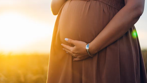 La clave para un embarazo saludable podría estar en el intestino materno