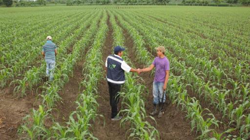 Empleo rural en 2025: 4,8 millones de personas ocupadas