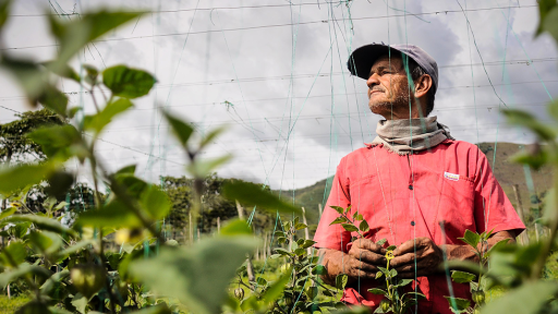Reducción pobreza Colombia 2024: DANE