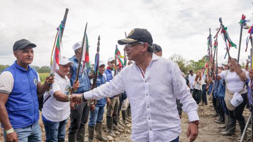 Erradicación voluntaria de hoja de coca en Nariño