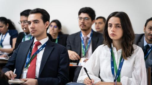 Carrera Diplomática y Consular 2027: requisitos, inscripción