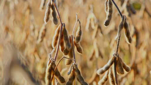 Exportaciones de Bucaramanga a Venezuela crecen 200%