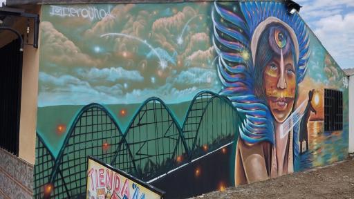 Festival de Muralismo en Granada, Meta