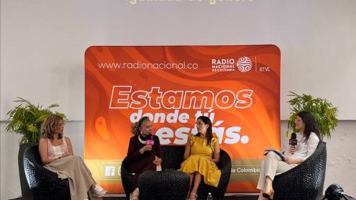 Seminario de igualdad de género RTVC