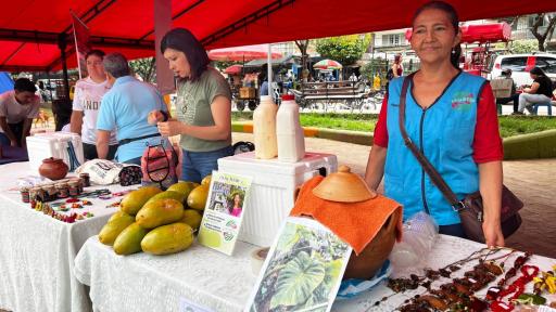 Festival por la Vida y la Paz Algeciras, Huila 2025