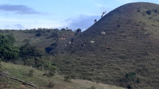 Fincas para la paz en Norte de Santander 