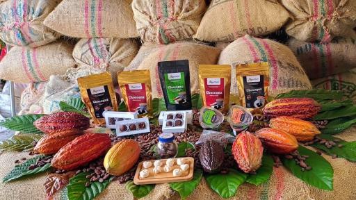 Putumayo siembra paz con el cacao