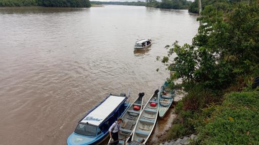 Zona de reserva en el Amazonas: historia, trabajo