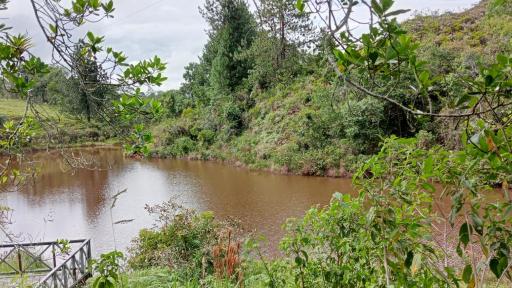La laguna encantada El Tambo, Cauca: ubicación, mitos y leyendas