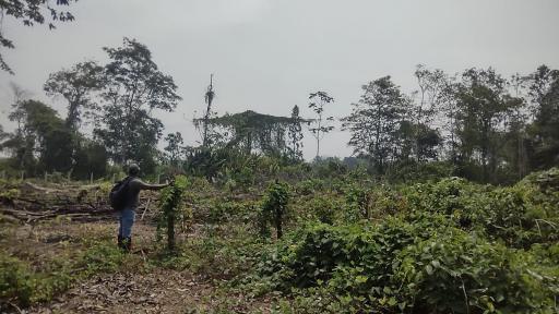 La laguna del silencio, un santuario de biodiversidad escondido en Arauca