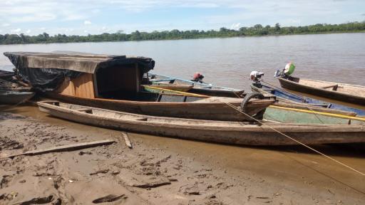 Foro Internacional: crímenes contra la naturaleza y el territorio: conclusiones