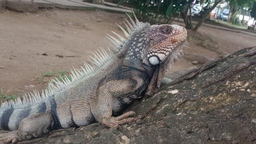 Tumaco y sus fantásticos paisajes llaman al turismo nacional e internacional