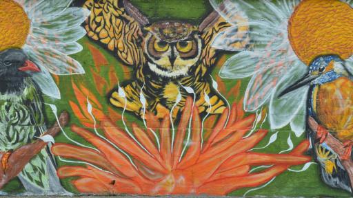 Ñawikuna: promoviendo la paz en Putumayo a través del arte