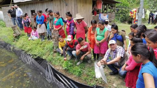 Productores agrícolas de Risaralda reciben apoyo