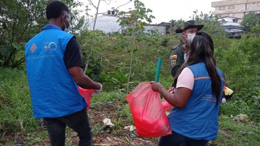Caracol gigante africano en Chocó: municipios en alerta y recomendaciones de CODECHOCO