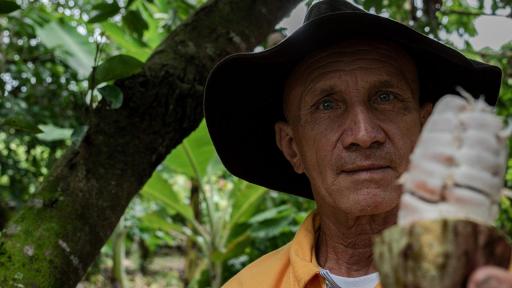 Cacao colombiano: Un referente en el mundo
