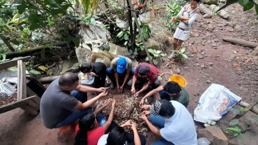 Asoanei: café y cacao