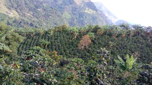 Municipios PDET del Tolima: inversión 