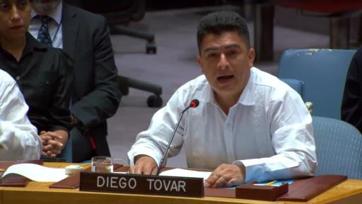 Los retos de la paz serán expuestos en el Consejo de Seguridad de la ONU