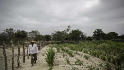 Alerta por llegada del fenómeno de El Niño