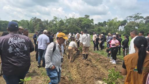 Firmantes de paz impulsan proyectos ambientales en el Meta