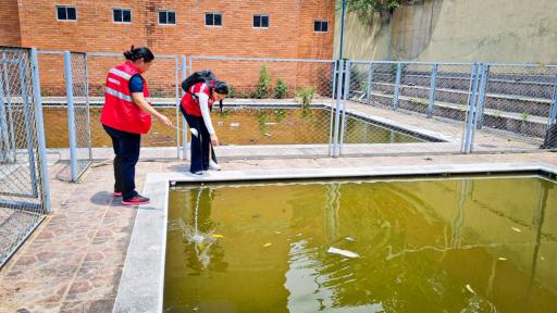 Floridablanca, Santander: casos de dengue registrados este año