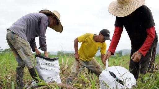 Entrega de tierras en Cúcuta 