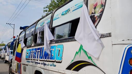 Catatumbo: Alcances legales y políticos de la Zona de Ubicación Temporal