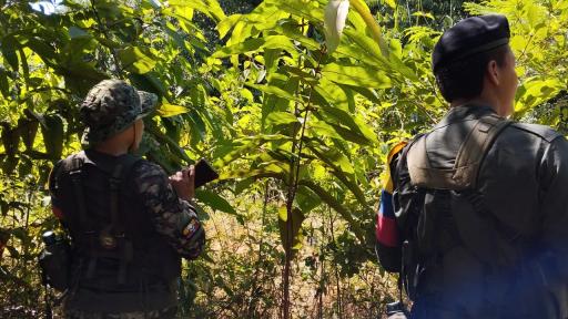 Norte de Santander: habitantes buscan paz total